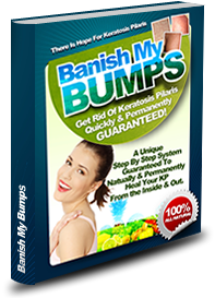 Banish My Bumps Secret System By Angela Steinberg - eBook PDF Program