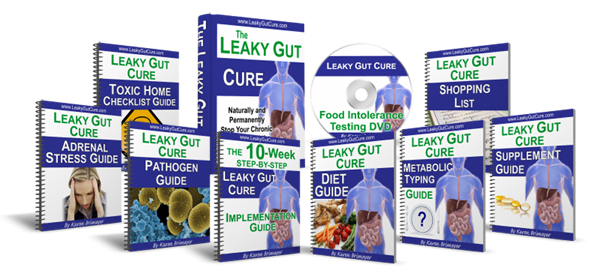 The Leaky Gut Cure By Karen Brimeyer - eBook PDF Program